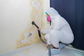 Best Mold Odor Removal Services  in Tiffin, OH